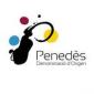 Penedés